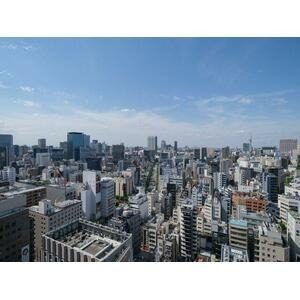 Tokyo Park Tower 2409 - Chiyoda city view