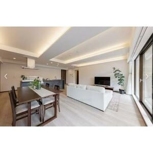Renovated living dining