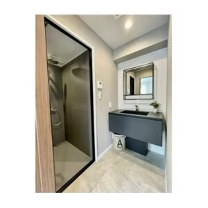 Walk-in shower bath