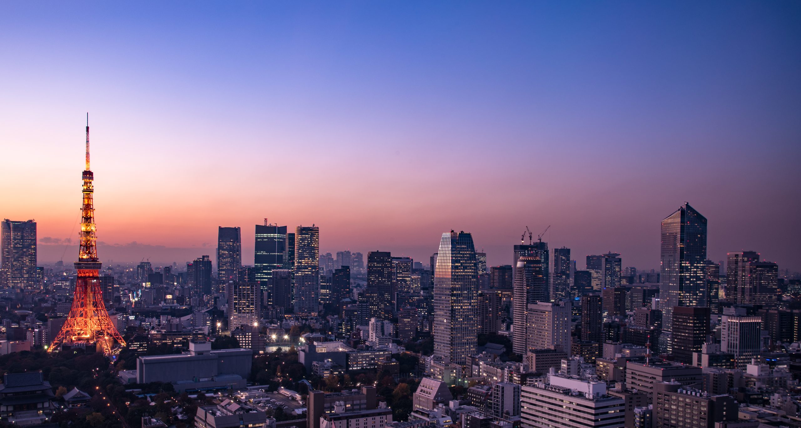 Tokyo skyline and Tokyo Tower at dusk
